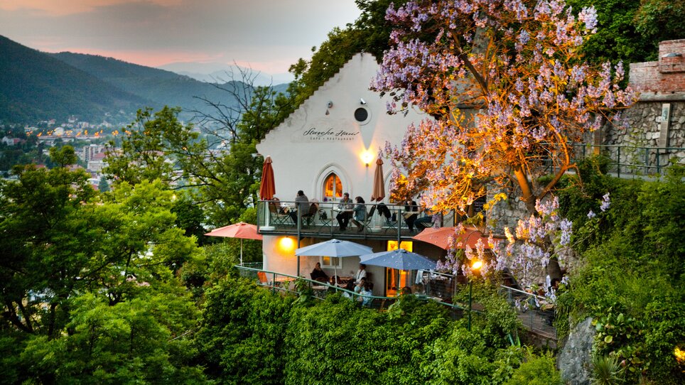 Das Starcke Haus in Graz mit Terrassen und blühendem Baum. | © Graz Tourismus - Werner Krug