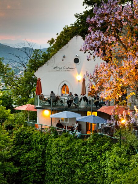 The Starcke House in Graz with terraces and flowering tree. | © Graz Tourismus - Werner Krug