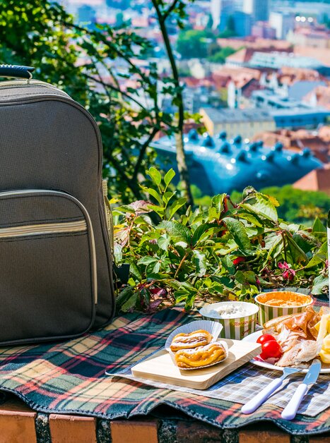 Picknick mit Wein und Snacks in Graz, Blick auf die Stadt. | © Mias Photoart