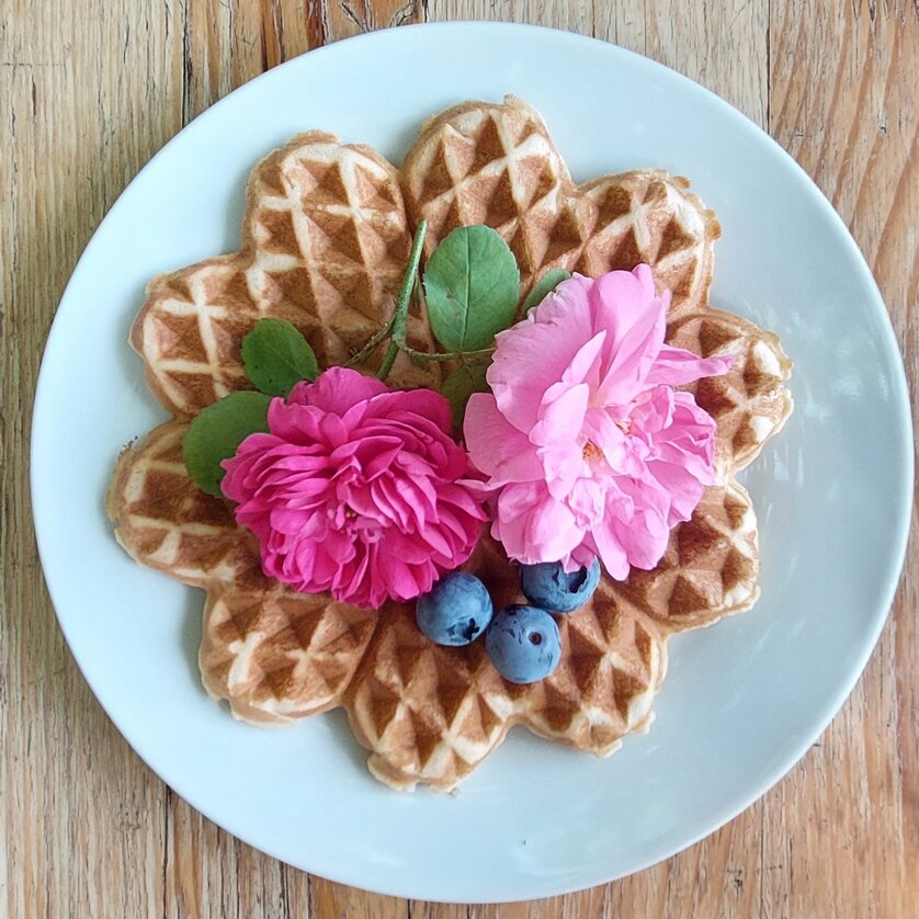 Raabauer Eisvogel - Rosenwaffeln | © Genuss ab Hof Waffeln dekoriert mit Blumen und Beeren auf weißem Teller. | © Genuss ab Hof
