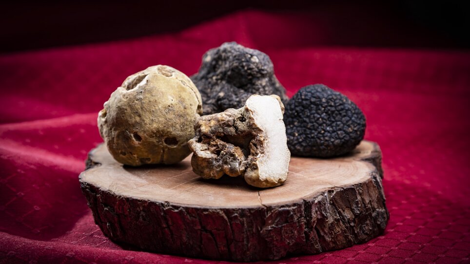 Various truffles displayed on a wooden board, thematically arranged. | © Graz Tourismus_Werner Krug