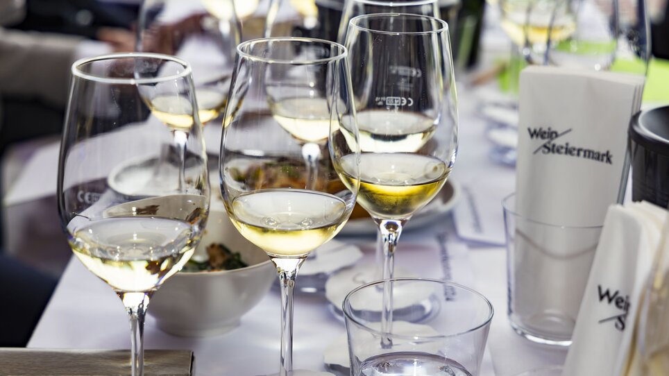 TRUFFLE. WINE. EXPERIENCE. - Impression #4 | © Werner Krug