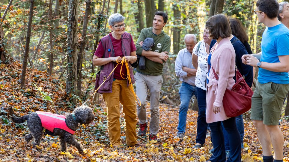 A group of people listens to a woman with a dog. It's autumn and the leaves are falling. | © Graz Tourismus - Harry Schiffer