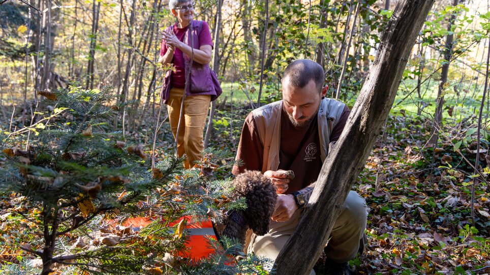 Ein Mann kniet im Wald und betrachtet eine Trüffel, die ein Trüffelsuchhund gerade gefunden hat. Eine Frau beobachtet aus der Ferne. | © Graz Tourismus - Harry Schiffer