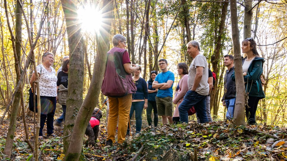 Gruppe von Menschen bei einer Trüffelwanderung im Leechwald, umgeben von Bäumen und herbstlichen Farben. | © Graz Tourismus - Harry Schiffer