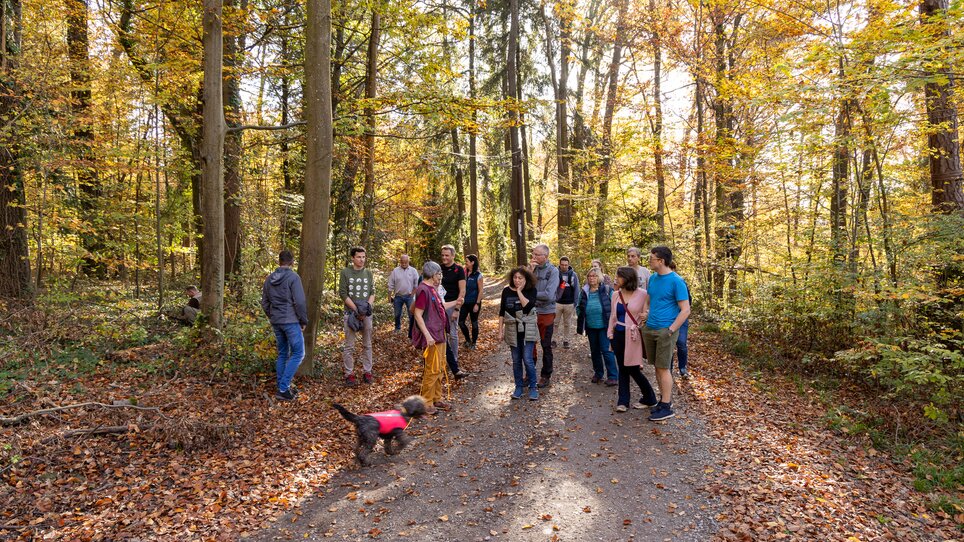 Group of people on a truffle hike in the Leechwald, surrounded by colorful autumn trees and a picturesque landscape. | © Graz Tourismus - Harry Schiffer