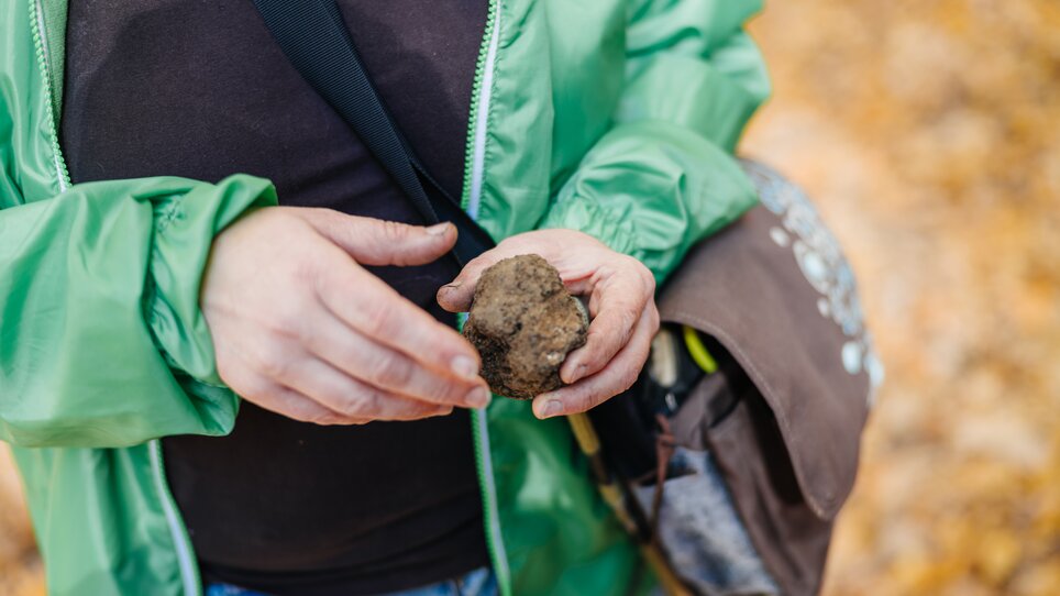 A person in a green jacket holds a dirty truffle in their hand. | © Gregor Hiebl