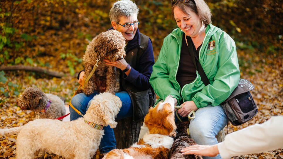 Two women sit in the woods with several dogs, surrounded by colorful leaves. | © Gregor Hiebl