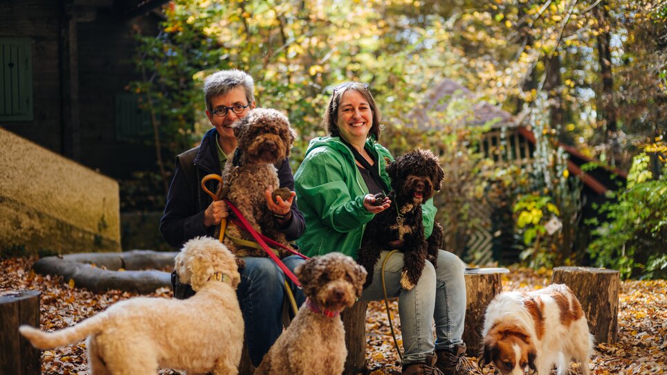 Two people with five dogs on a wooden bench in an autumn forest. | © Gregor Hiebl
