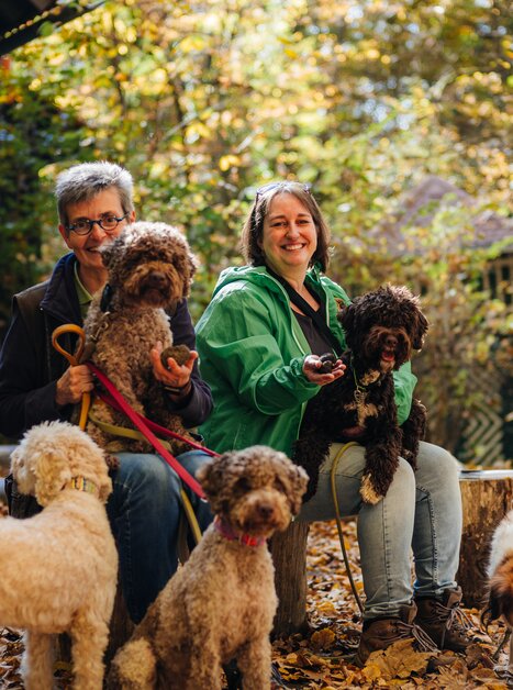 Two people with five dogs on a wooden bench in an autumn forest. | © Gregor Hiebl