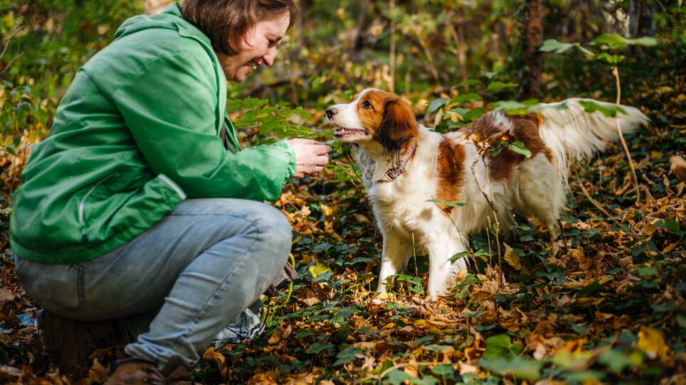 A woman and her dog enjoy time in the autumn forest, surrounded by colorful foliage. | © Gregor Hiebl