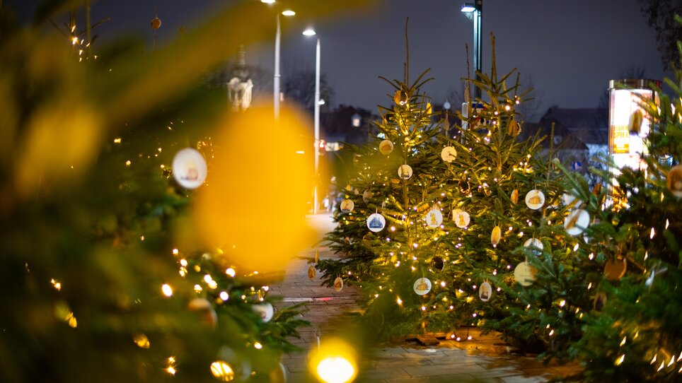 Illuminated Christmas trees in Graz, adorned with ornaments and lights in the darkness. | © Graz Tourismus - Harry Schiffer