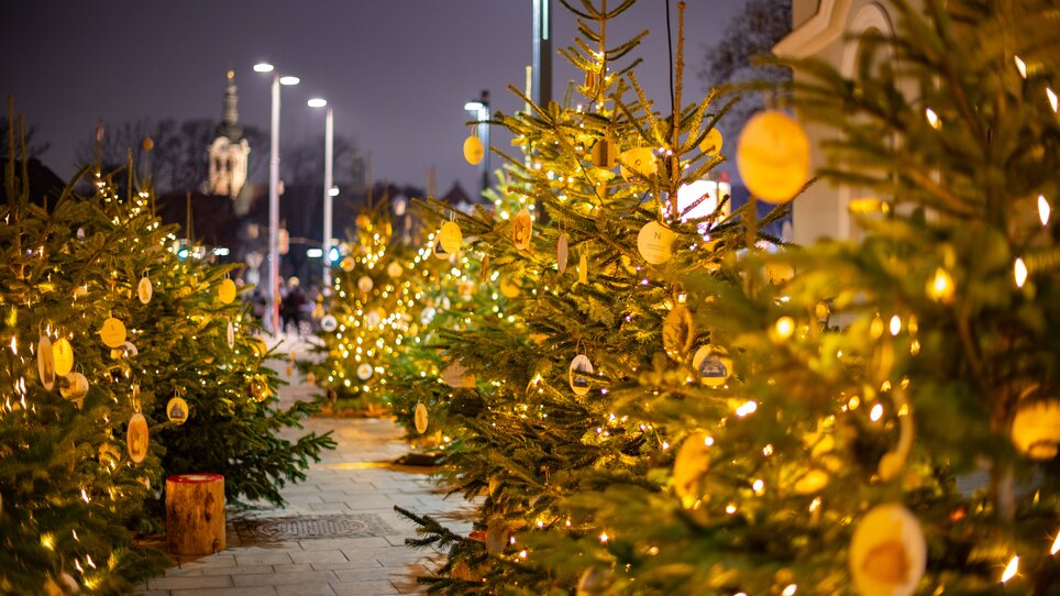 Illuminated Christmas trees at Schlossbergplatz in Graz. | © Graz Tourismus - Harry Schiffer
