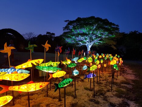 Bunte, leuchtende Fische und ein erleuchteter Baum im Gegensatz zum Dämmerlicht. | © MK Ilumination-LUMAGICA GmbH