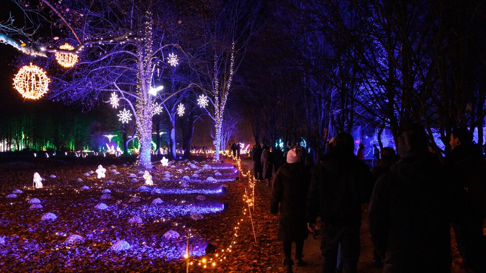 Un paesaggio invernale affollato con luci colorate e visitatori su un sentiero illuminato. | © Erwin Scheriau