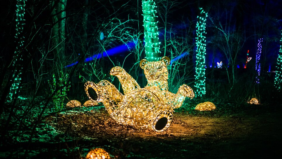Orso illuminato fatto di luci sdraiato nel parco tra gli alberi. | © Lumagica Frohnleiten