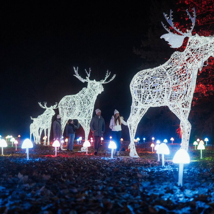 Lumagica | © Region Graz_studio draussen