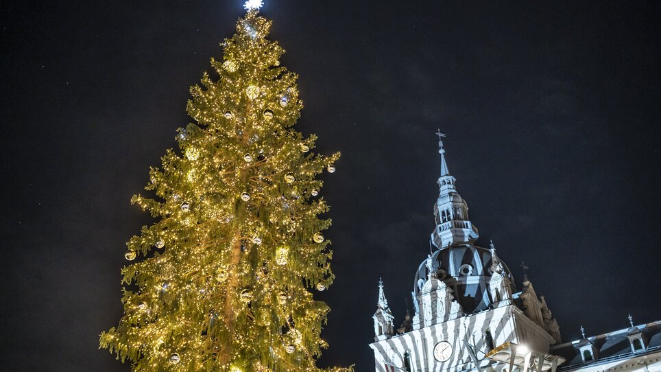 Illuminated Christmas tree and town hall in Graz at night. | © Stadt Graz - Foto Fischer