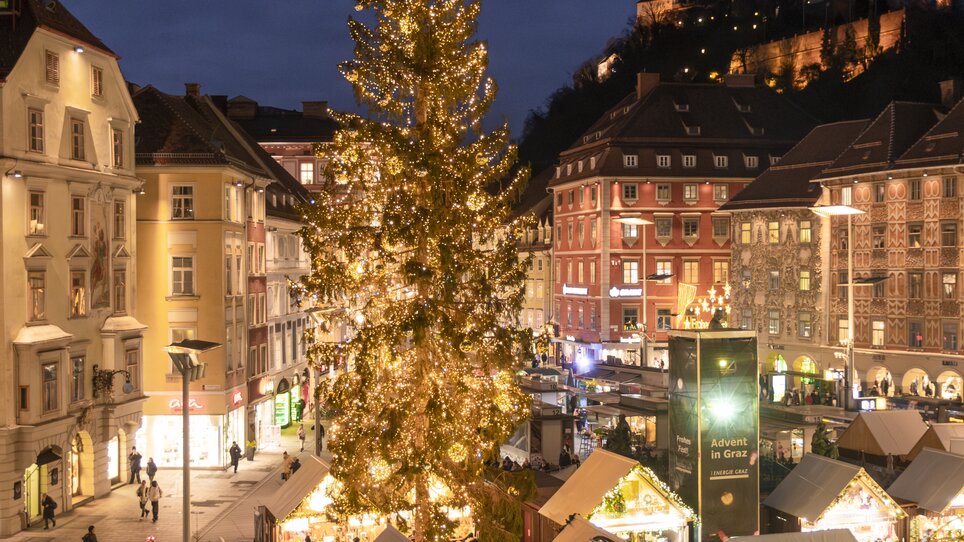 Weihnachtsmarkt in Graz mit geschmücktem Baum und festlicher Beleuchtung. | © Vincent Croce