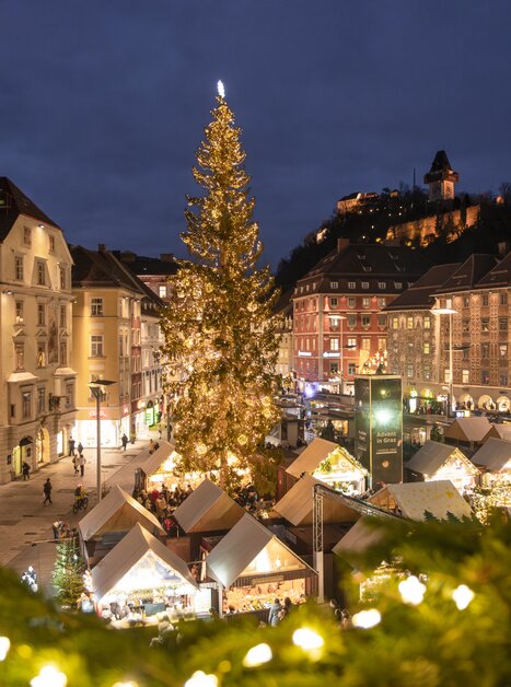 Weihnachtsmarkt in Graz mit geschmücktem Baum und festlicher Beleuchtung. | © Vincent Croce