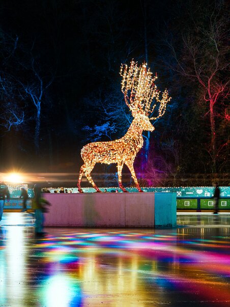Beleuchtetes Rentier beim Eislaufplatz der Grazer Winterwelt bei Nacht, umgeben von bunten Lichtern und Besuchern. | © Leon Moik