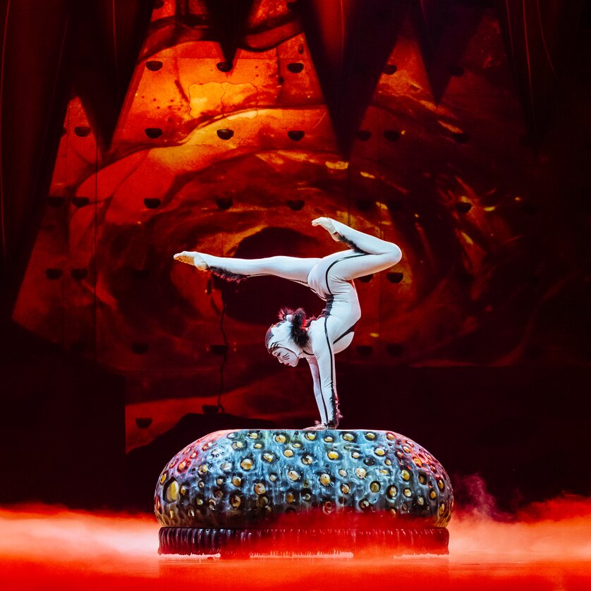 Cirque du soleil OVO 20-12  MA74686HR | © Marie-Andrée Lemire