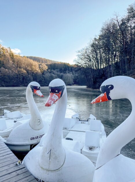 Drei Schwanenboote liegen am gefrorenen See mit einer Waldlandschaft im Hintergrund. | © Astrid Schütz -  Scroll durch dein Leben!