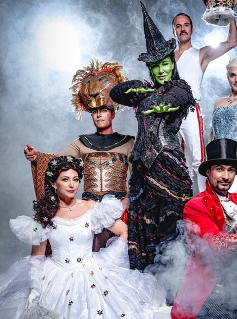 Darsteller der Nacht der Musicals in Kostümen | © Pura Vida Theater und Musical GmbH