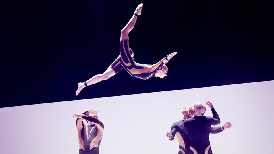 CIRCA Wolf | © CIRCA