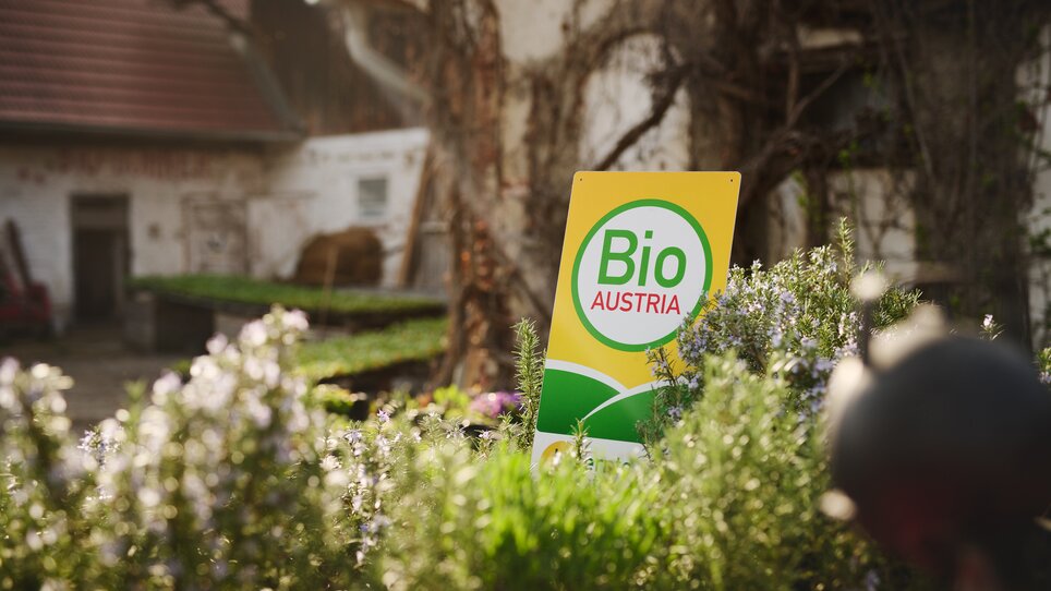 GECO Festival - Impression #12