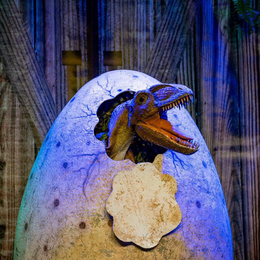 A dinosaur head emerges from an egg, surrounded by jungle decor. | © Timo Tutschek