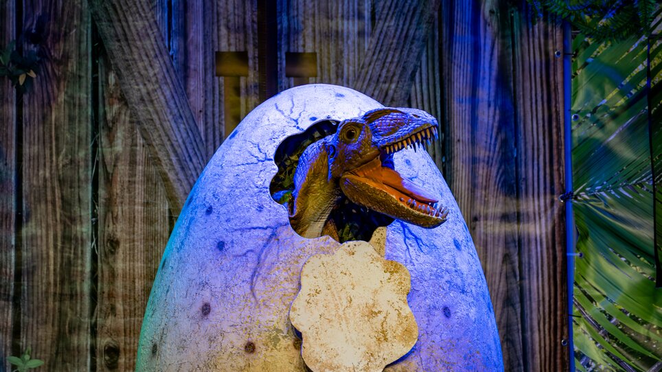 A dinosaur head emerges from an egg, surrounded by jungle decor. | © Timo Tutschek
