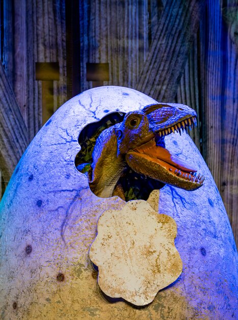 A dinosaur head emerges from an egg, surrounded by jungle decor. | © Timo Tutschek