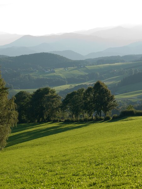 Schöckl | © Region Graz - Hans Wiesenhofer
