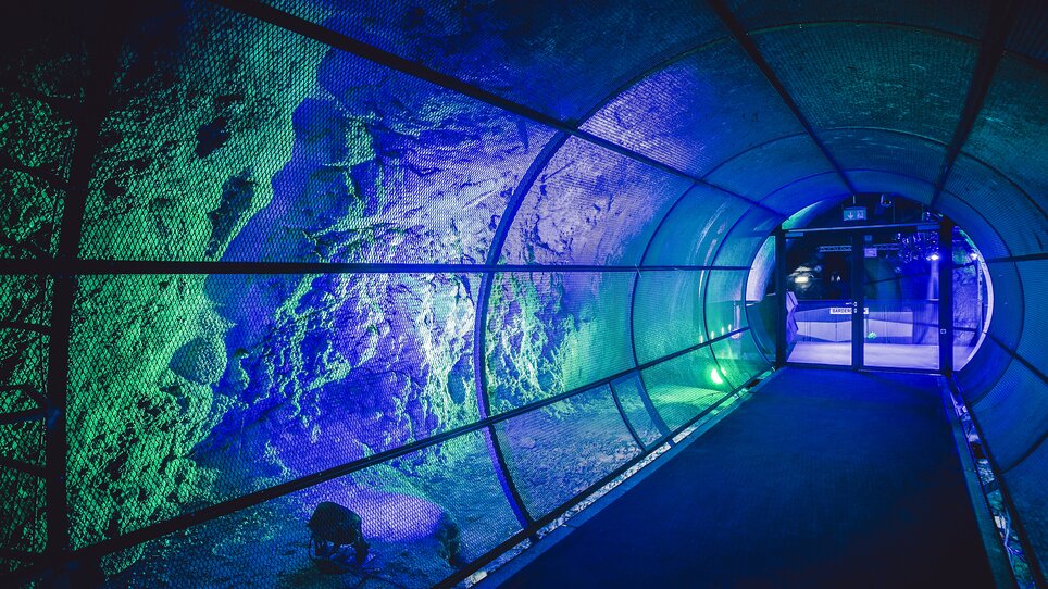 Ein moderner Tunnel mit bunten Lichtern im Dom im Berg in Graz. | © Lupi Spuma