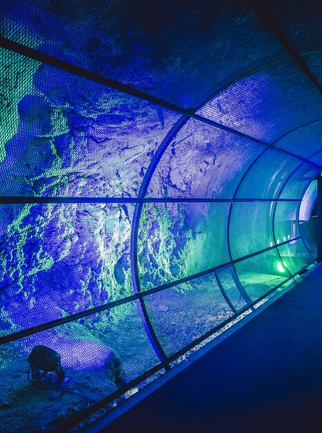 A modern tunnel with colorful lights in Dom im Berg, Graz. | © Lupi Spuma