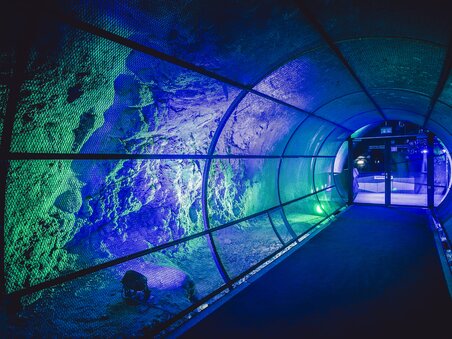 A modern tunnel with colorful lights in Dom im Berg, Graz. | © Lupi Spuma