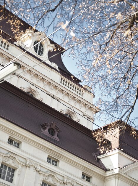 Obere Fassade der Oper Graz mit blühenden Ästen und blauem Himmel | © Oper Graz