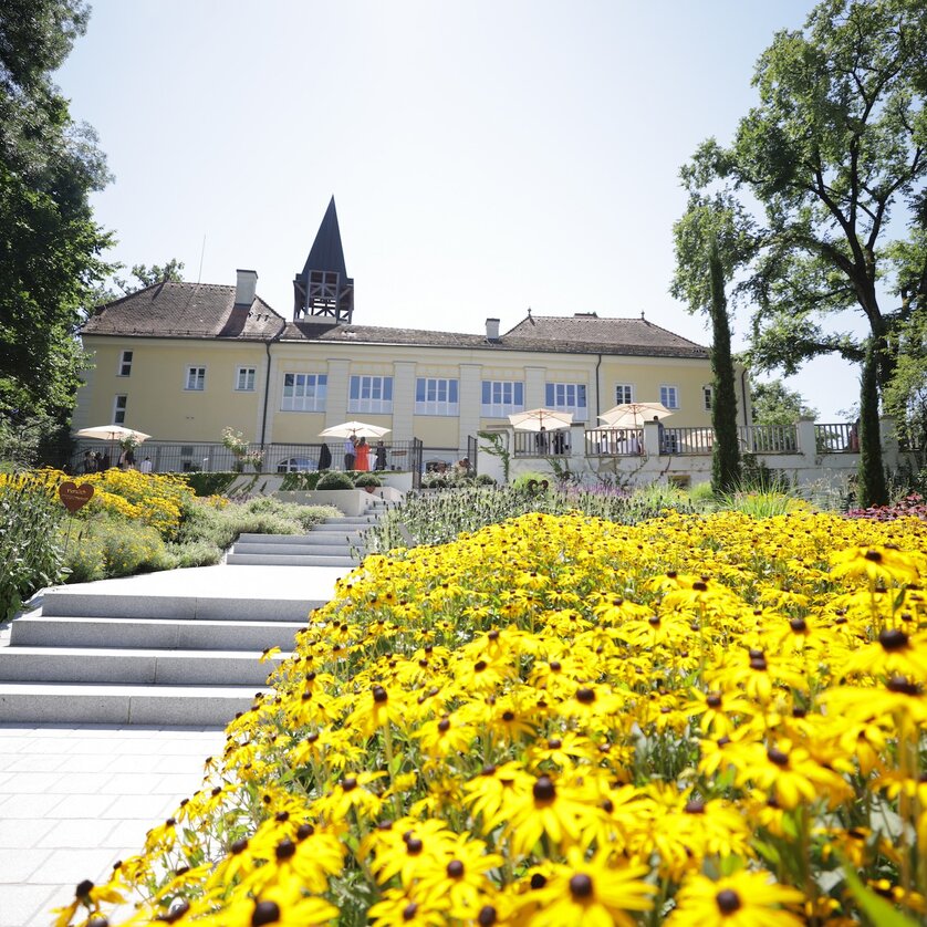 Schloss Vasoldsberg | © Sarah Raiser Fotografie Blühende gelbe Blumen vor Schloss Vasoldsberg an einem sonnigen Tag. | © Sarah Raiser Fotografie