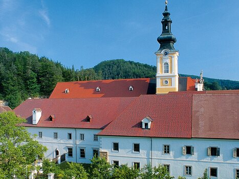 Das Stift Rein ist ein historisches Gebäude mit einem bemerkenswerten Glockenturm. Die großzügigen Räumlichkeiten bieten flexible Nutzungsmöglichkeiten für Konferenzen und Veranstaltungen.