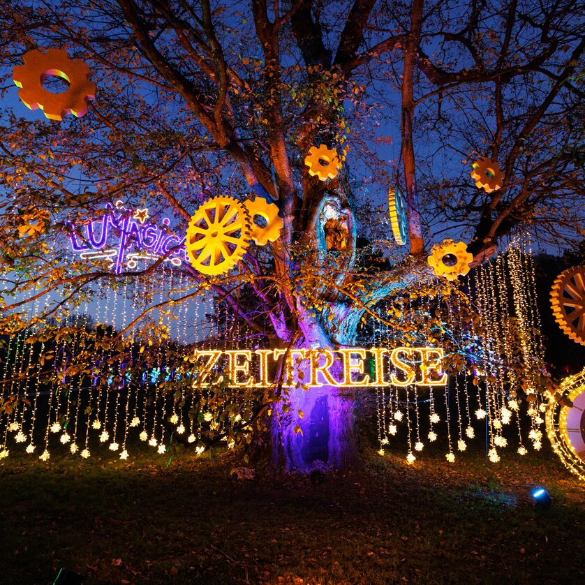 Ein mit Lichtern geschmückter Baum mit dem Schriftzug 'ZEITREISE'. | © Erwin Scheriau