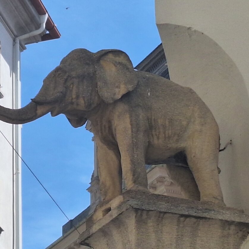 Steinerne Elefantenstatue auf einem Gebäudevorsprung in der Grazer Innenstadt | © Graz Tourismus - Doris Pucher