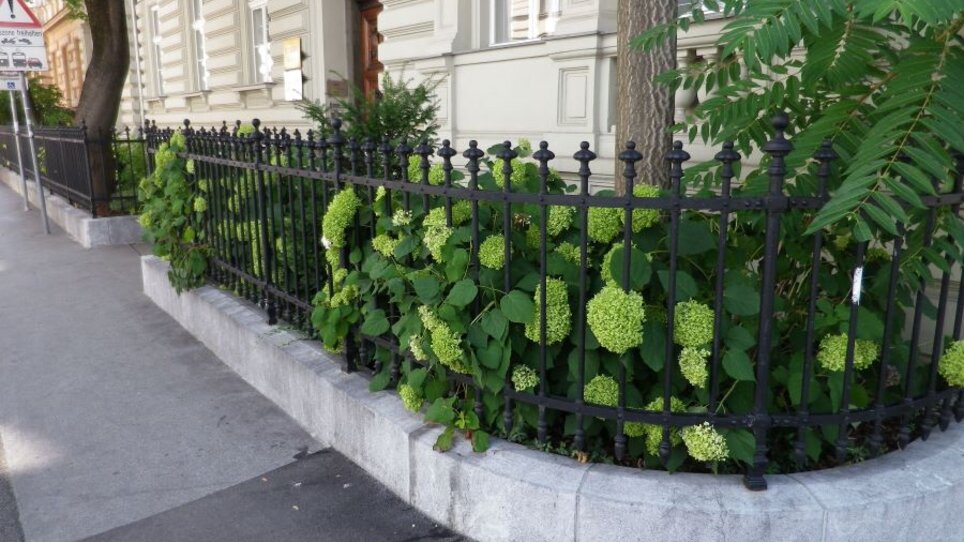 Sparbersbachgasse 46 | © Stadt Graz - Grünraum und Gewässer
