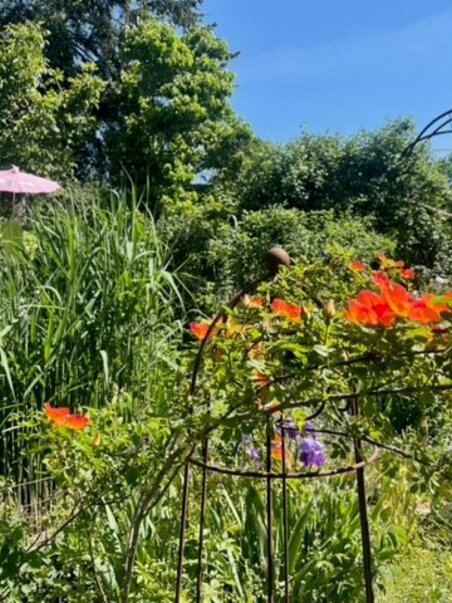Bunter Garten mit blühenden Pflanzen und pinkem Sonnenschirm. | © kunstGarten