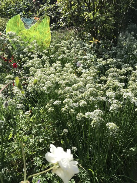 Blühender Garten mit weißen Blumen und grünem Blattwerk. | © kunstGarten