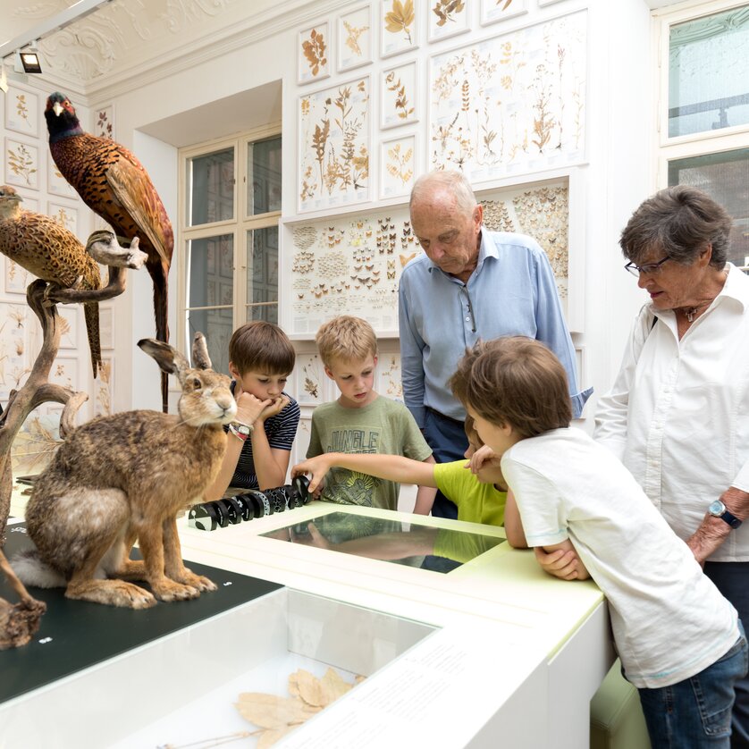 Joanneumsviertel I Naturkundemuseum Graz | © UMJ - Harry Schiffer