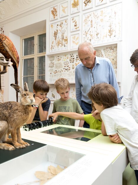 Museum visitors explore animal exhibits. | © UMJ - Harry Schiffer