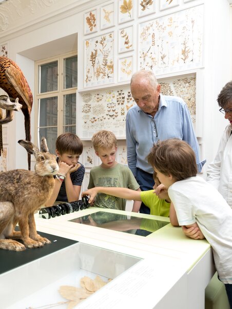 Besucher des Naturkundemuseums erkunden Tierexponate. | © UMJ - Harry Schiffer