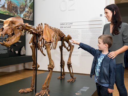 Frau und Kind betrachten Skelett im Naturkundemuseum. | © Harry Schiffer