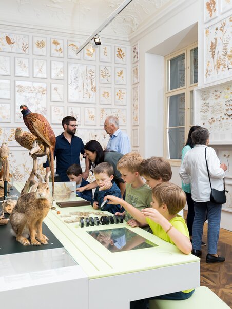 Besucher erkunden das Naturkundemuseum mit Ausstellungen zu Tieren und Pflanzen. | © Harry Schiffer
